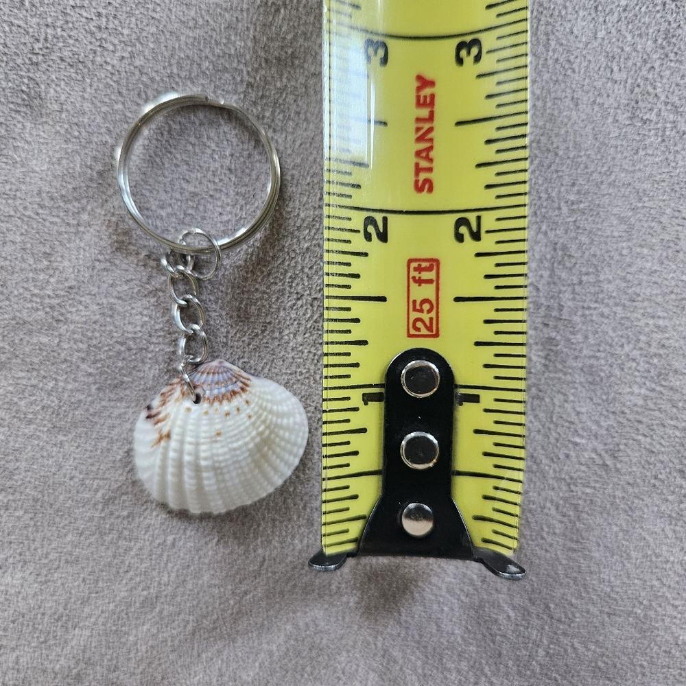 NEW Coastal Decor Set Shark Sign Shells Starfish & Shell Keychain Fish Tank Safe - Picture 10 of 10
